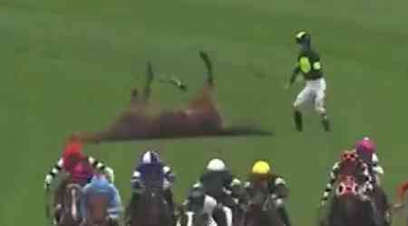 Horse collapses in distressing scenes