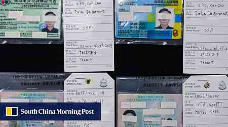 Cross-border syndicate forged Hong Kong ID cards for illegal workers