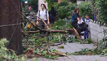 2 dead, 515 injured, 4 missing in wake of Typhoon Kong-rey