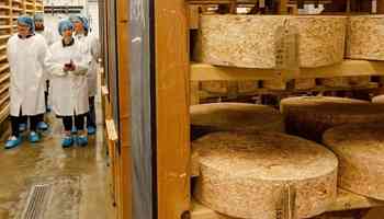 Arrest made in massive U.K. cheese heist, but $540K worth of cheddar still at large