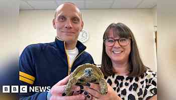 Pee-wee the tortoise found by recycling centre workers