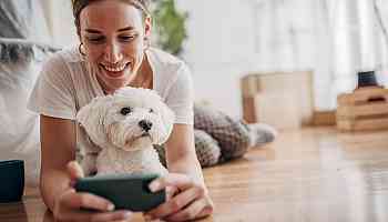 Best Home Pet Cams of 2024, Expert Tested