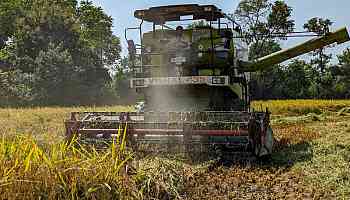 India's rice inventories hit record high, triples govt target