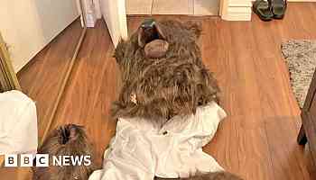 Suspects nabbed for 'man in bear suit' insurance scam