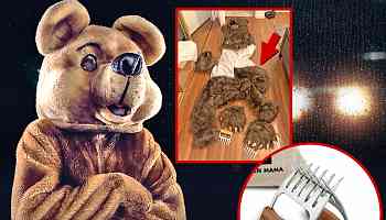 Four Arrested for Wearing Bear Costume, Damaging High-End Cars in Scam