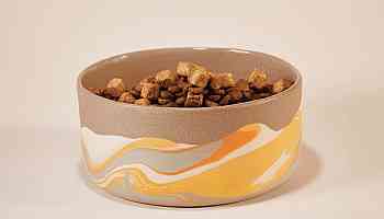 Stoneware Dog Bowl by Helen Levi