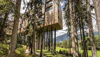 Slumber in the Treetops Near the Dolomites at My Arbor