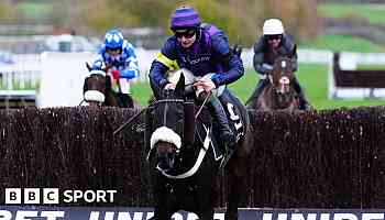 Three horses die during racing at Cheltenham