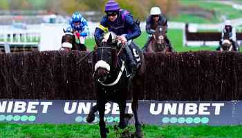 Tragic deaths add sombre postscript to racing at Cheltenham