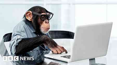 'Infinite monkey theorem' debunked by Australian mathematicians