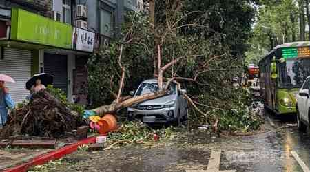 Typhoon Kong-rey causes 3 deaths, 690 injuries