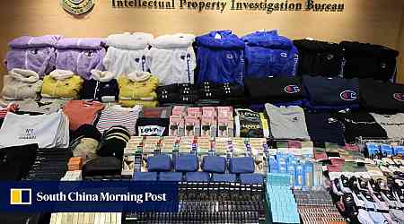 Counterfeit Dior, Chanel products seized in arrest of Hong Kong online store operator