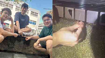 $500,000 richer: Hunt the Mouse gold coin found by 3 men under bench in Bedok