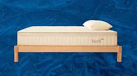 Best Organic Mattress & Bedding of 2024: Nontoxic, Natural Sleep