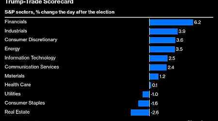 With Trump Win Boosting Stocks, Investors Hunt for Next Winners