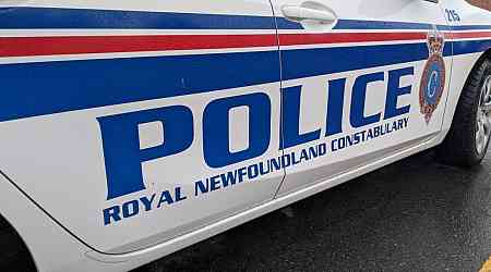 Newfoundland man electrocuted by downed power line, two women injured