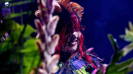 Bjork Breathes Life Back Into Endangered and Extinct Animals for Paris Art Museum With AI