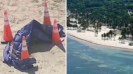 Severed human head found on beach