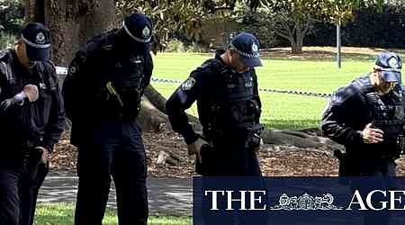 Man seen fleeing state parliament with replica gun