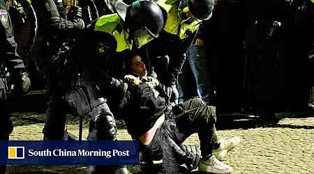 Dutch investigate alleged police violence after banned Amsterdam protest