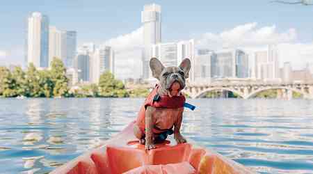 The 6 Best Dog-Friendly Destinations in the U.S.