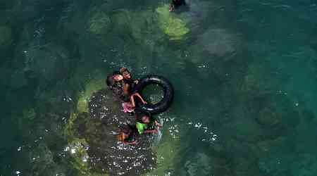 Scientists say world's largest coral found near Solomon Islands