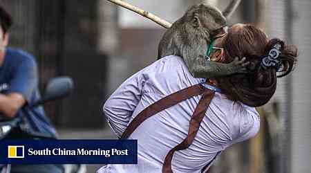 200 monkeys run riot in Thailand, forcing police to barricade their own station