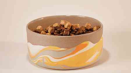 Stoneware Dog Bowl by Helen Levi