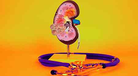 13 Superfoods to Supercharge Your Kidneys