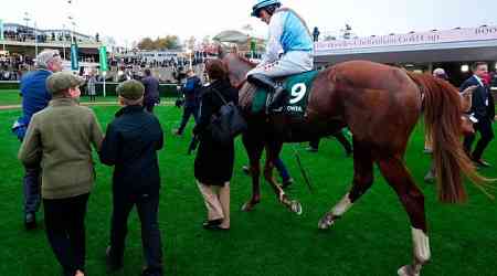 Hamsiyann heralds happier times for Tony Martin at Cheltenham