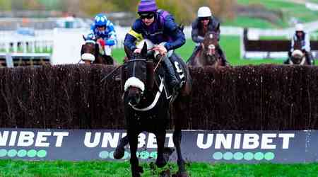 Tragic deaths add sombre postscript to racing at Cheltenham