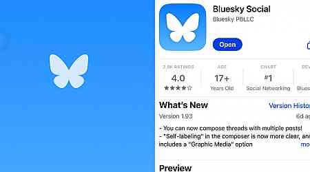 Bluesky's 'acceleration is tremendous' as users flock to the new 'old Twitter'