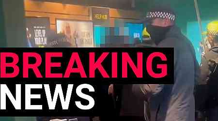 Undercover flying squad taser gang trying to steal phones from London EE shop