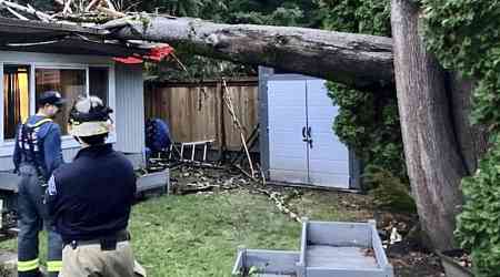 'Bomb cyclone' knocks out power to over 600,000 and downs trees across northwest US, killing 1