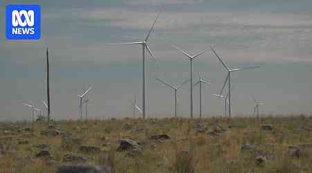 Safety incident occurred on Golden Plains Wind Farm in weeks leading up to fatal accident