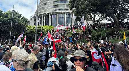 Thousands protest as Maori rights march reaches New Zealand parliament