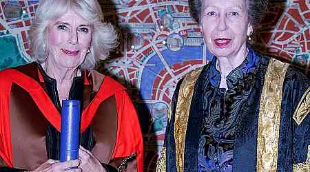  How Princess Anne Refused to Break Royal Protocol for Queen Camilla 