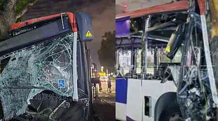 Driver killed, 5 passengers injured as bus crashes into tree in Kaki Bukit