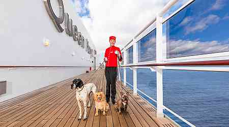 Cruising has gone to the dogs: This voyage will let you bring your canine on a cruise