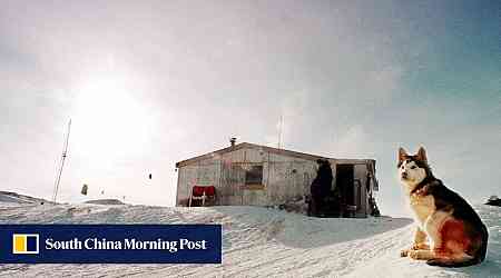 Canada apologises to Inuit communities for mass killing of sled dogs decades ago