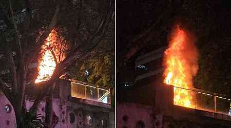 Christmas tree catches fire on Design Orchard mall rooftop