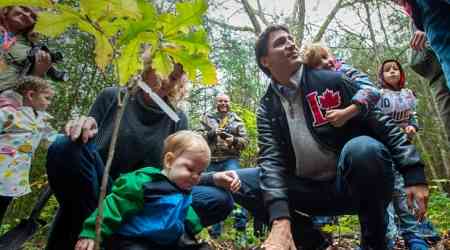 Out on a limb: Ottawa is falling behind on its promise to plant 2 billion trees