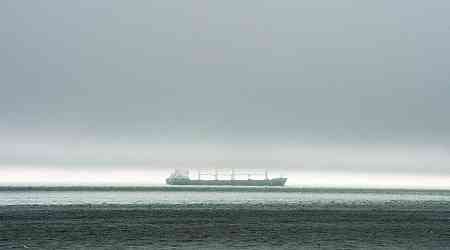 Cargo ship runs aground in St. Lawrence River near Morrisburg, Ont. 