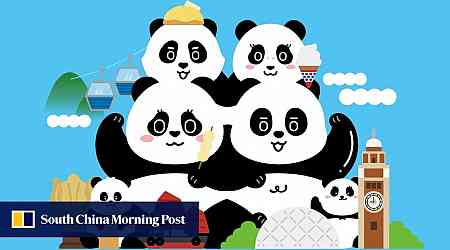 Hong Kong studio to draw on panda economy with new character IP