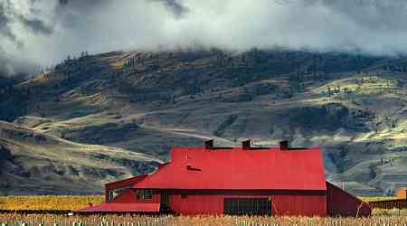 Immersive Elegance at the Transformed Red Barn Winery at Jagged Rock