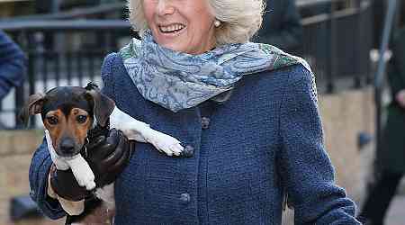  How King Charles III & Queen Camilla Paid Tribute to Late Dog Beth 