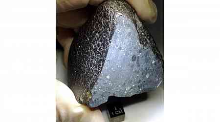 Evidence of Hot Water on Mars Found in Ancient Meteorite From Early Days of Solar System