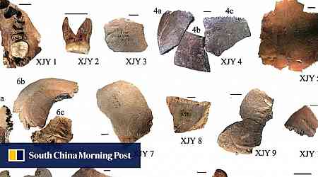 Big head, big teeth, big implications: early hominid from China stirs new species debate