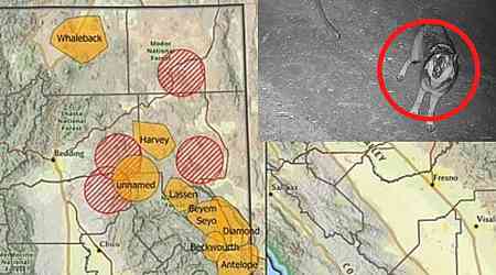 Deadly predator seen for first time in century