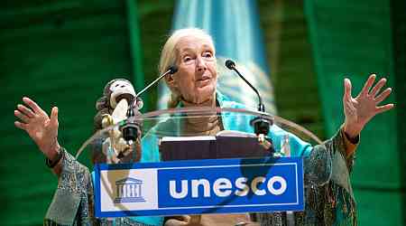 Jane Goodall: Hongkongers of all stripes need to work together to promote biodiversity